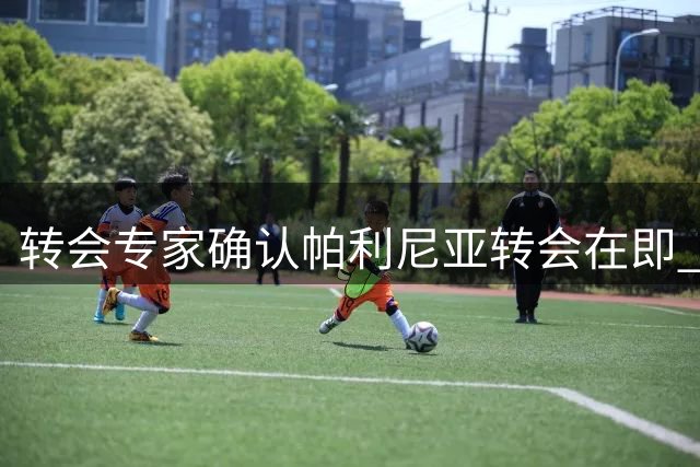 转会专家确认帕利尼亚转会在即 维拉与拜仁即将展开费用谈判